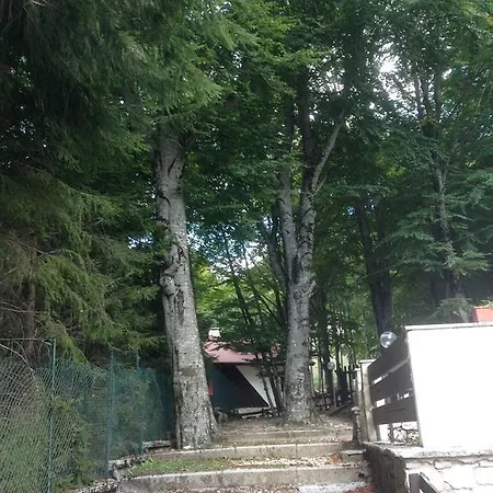 Dei Boschi Subiaco